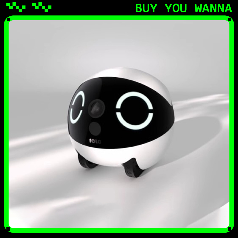 Home Security Monitoring - Enabot ROLA Mini Smart Robot Intelligente