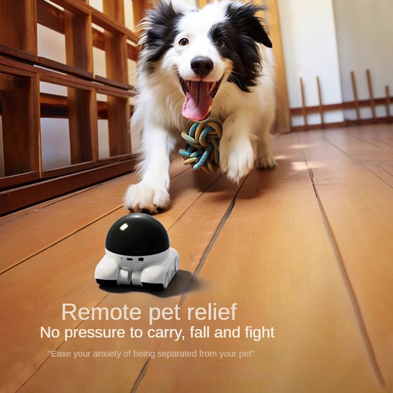 Smart Dual Lens IP Dome Robotc - Home Security Robot Dog recensie en prijs
