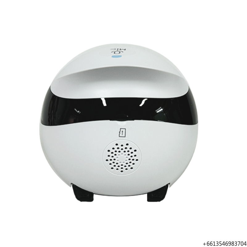 Enabot Ebo Se Robot Hond Kat B - Home Security Robot Dog recensie en prijs