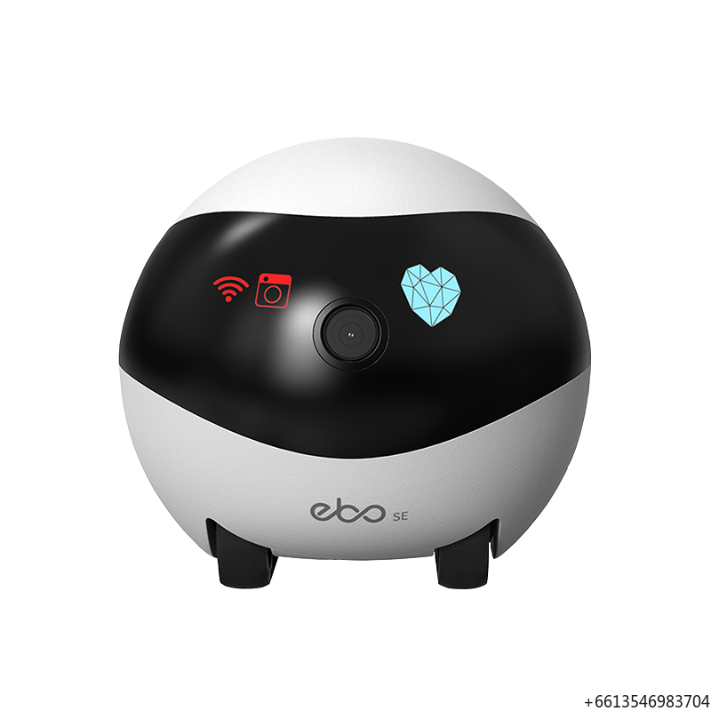 Enabot Ebo Se Robot Hond Kat B - Home Security Robot Dog recensie en prijs