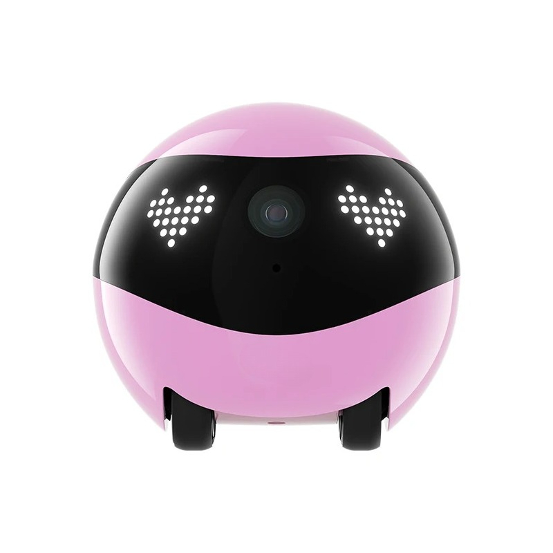 Air2 Camera Robot voor Hond Ka - Home Security Robot Dog recensie en prijs