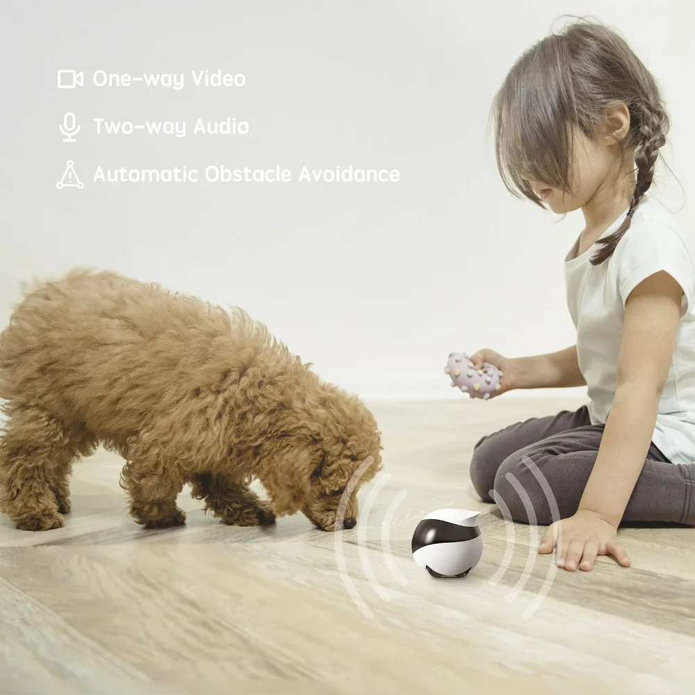 Robot voor hond Kat Baby 1080P - Home Security Robot Dog recensie en prijs